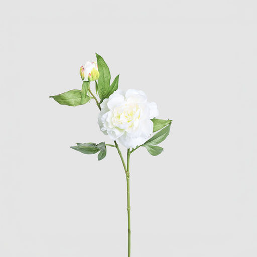 Artificial Peony Floral Stem White 69cm White - FLORA DESIGNS