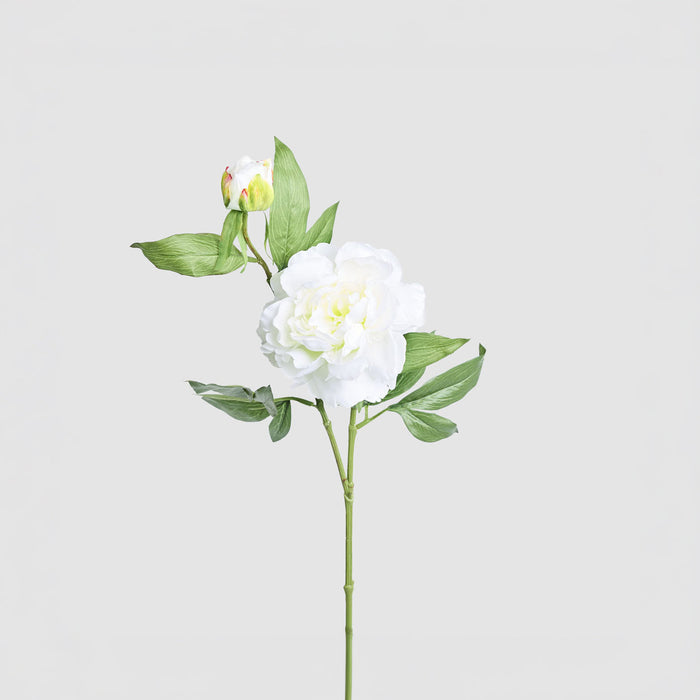 Artificial Peony Floral Stem White 69cm White - FLORA DESIGNS