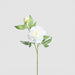 Artificial Peony Floral Stem White 69cm White - FLORA DESIGNS