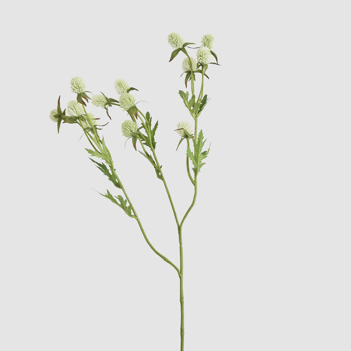 Artificial Thistle Spray White 73cm White - FLORA DESIGNS