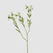 Artificial Thistle Spray White 73cm White - FLORA DESIGNS