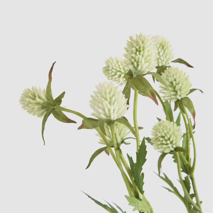 Artificial Thistle Spray White 73cm White - FLORA DESIGNS