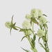 Artificial Thistle Spray White 73cm White - FLORA DESIGNS