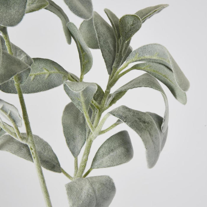 Artificial Lambs Ear Leaf Spray Green 71cm Green - FLORA DESIGNS