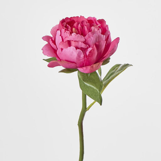 Artificial Peony Short Stem Dark Pink 33cm Red - FLORA DESIGNS