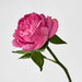 Artificial Peony Short Stem Dark Pink 33cm Red - FLORA DESIGNS