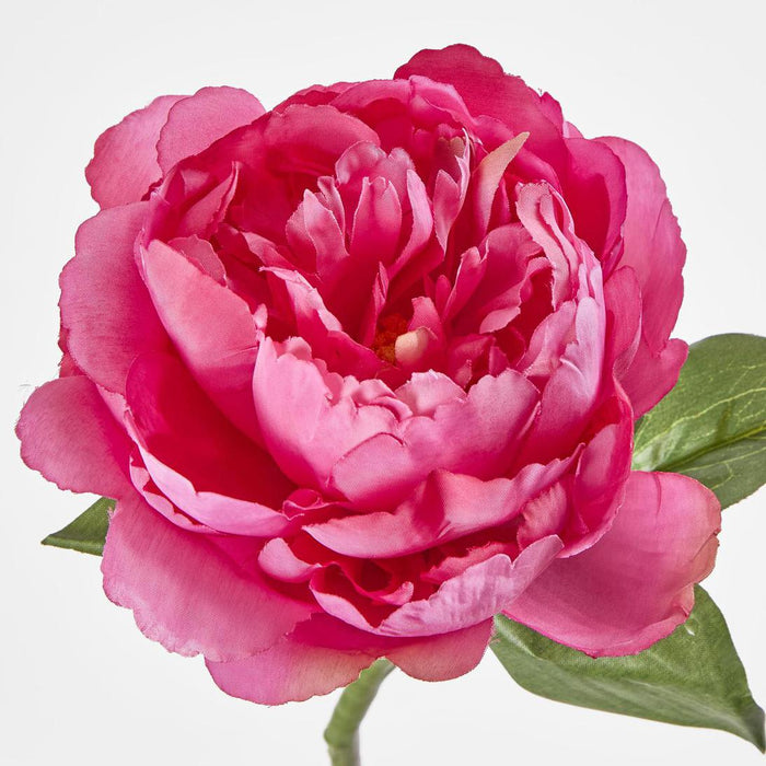 Artificial Peony Short Stem Dark Pink 33cm Red - FLORA DESIGNS