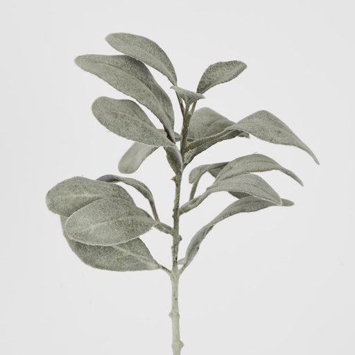 Artificial Lambs Ear Leaf Spray Dark Green 38cm Dark Green - FLORA DESIGNS
