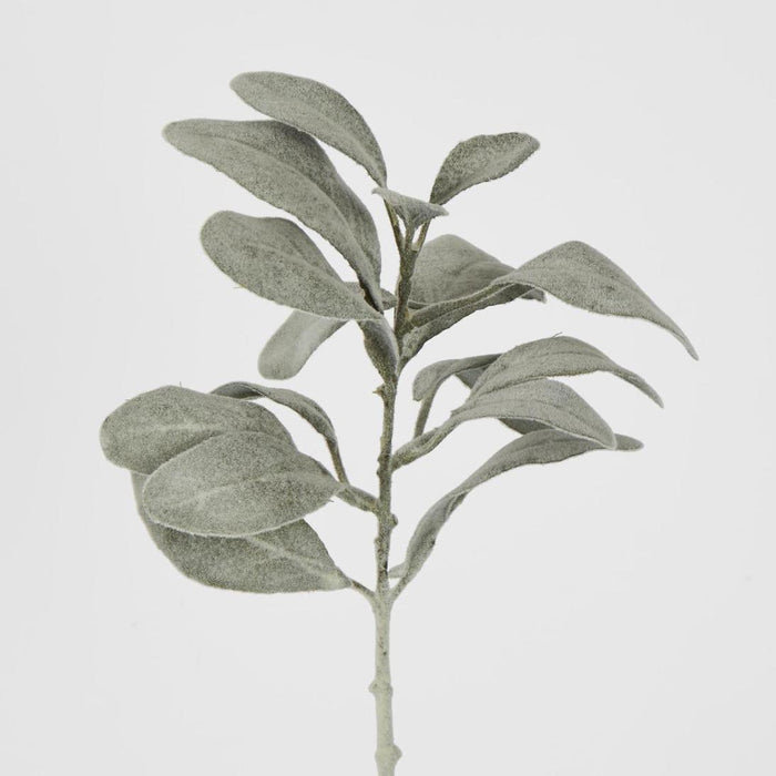 Artificial Lambs Ear Leaf Spray Dark Green 38cm Dark Green - FLORA DESIGNS
