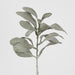 Artificial Lambs Ear Leaf Spray Dark Green 38cm Dark Green - FLORA DESIGNS