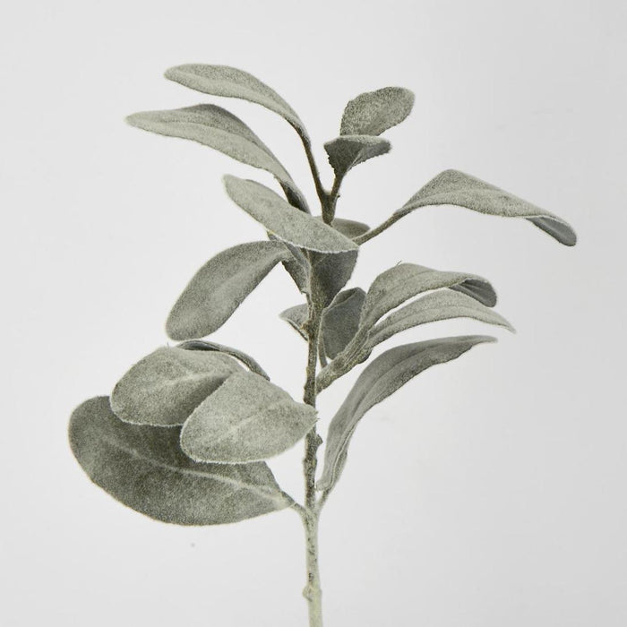 Artificial Lambs Ear Leaf Spray Dark Green 38cm Dark Green - FLORA DESIGNS