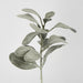 Artificial Lambs Ear Leaf Spray Dark Green 38cm Dark Green - FLORA DESIGNS