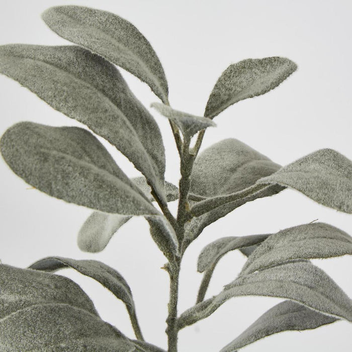 Artificial Lambs Ear Leaf Spray Dark Green 38cm Dark Green - FLORA DESIGNS