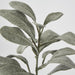 Artificial Lambs Ear Leaf Spray Dark Green 38cm Dark Green - FLORA DESIGNS