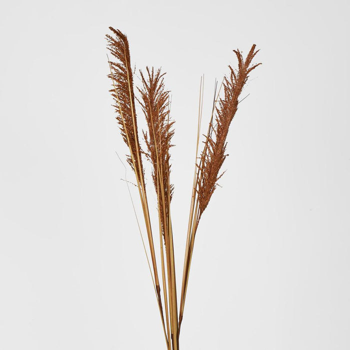 Artificial Pampas Grass Spray Brown 119cm Brown - FLORA DESIGNS