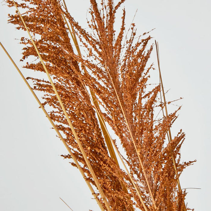 Artificial Pampas Grass Spray Brown 119cm Brown - FLORA DESIGNS
