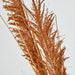 Artificial Pampas Grass Spray Brown 119cm Brown - FLORA DESIGNS