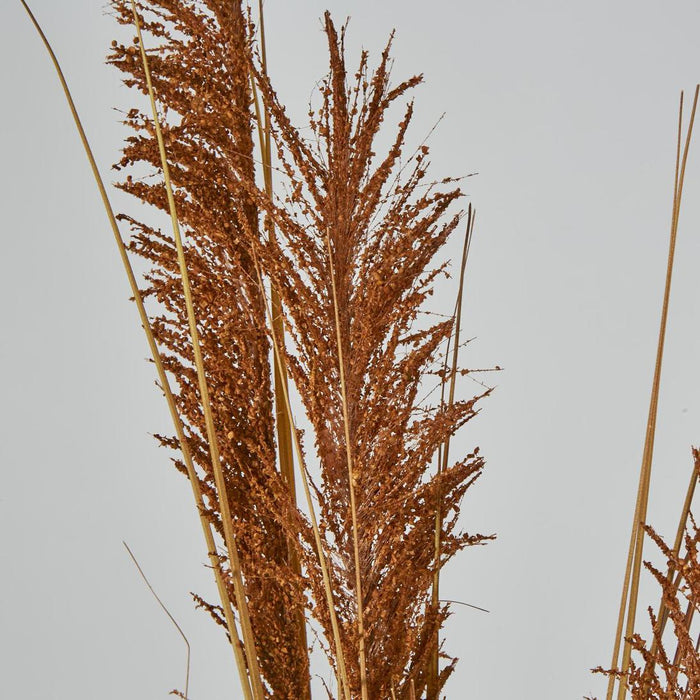 Artificial Pampas Grass Spray Brown 119cm Brown - FLORA DESIGNS