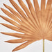 Artificial Sun Palm Leaf Brown 62cm Brown - FLORA DESIGNS