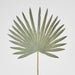 Artificial Sun Palm Leaf Green 62cm Green - FLORA DESIGNS