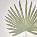 Artificial Sun Palm Leaf Green 62cm Green - FLORA DESIGNS