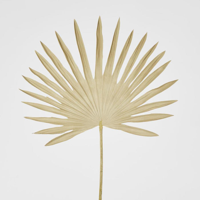 Artificial Sun Palm Leaf 62cm Beige - FLORA DESIGNS