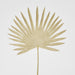 Artificial Sun Palm Leaf 62cm Beige - FLORA DESIGNS