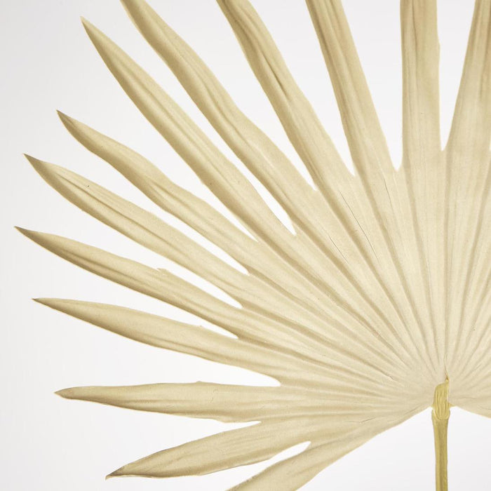 Artificial Sun Palm Leaf 62cm Beige - FLORA DESIGNS