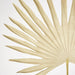 Artificial Sun Palm Leaf 62cm Beige - FLORA DESIGNS