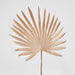 Artificial Sun Palm Leaf Light Brown 62cm Green - FLORA DESIGNS