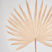 Artificial Sun Palm Leaf Light Brown 62cm Green - FLORA DESIGNS