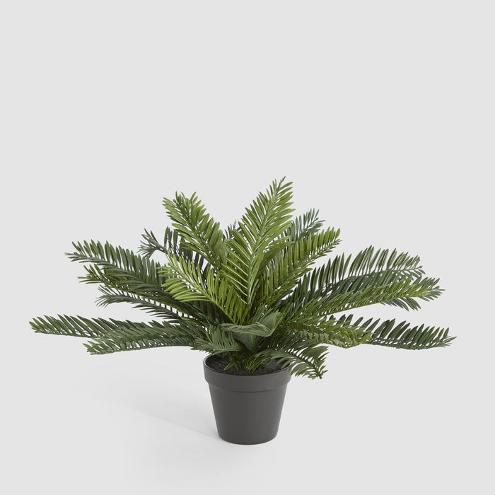 Artificial Mini Cycas Fern in Black Pot 41cm Green - FLORA DESIGNS