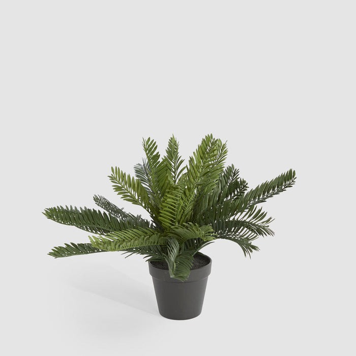 Artificial Mini Cycas Fern in Black Pot 41cm Green - FLORA DESIGNS