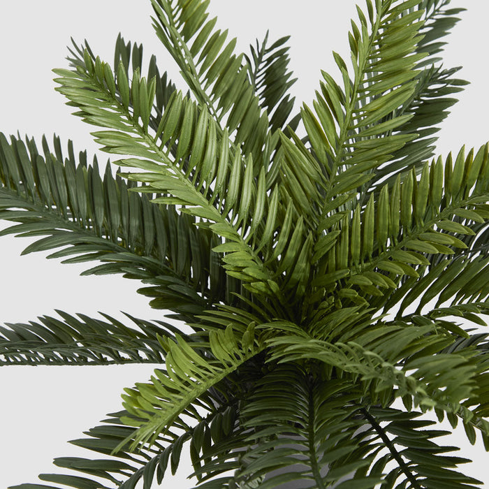 Artificial Mini Cycas Fern in Black Pot 41cm Green - FLORA DESIGNS