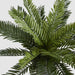 Artificial Mini Cycas Fern in Black Pot 41cm Green - FLORA DESIGNS