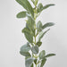 Artificial Lamb's Ear Garland 180cm Green - FLORA DESIGNS