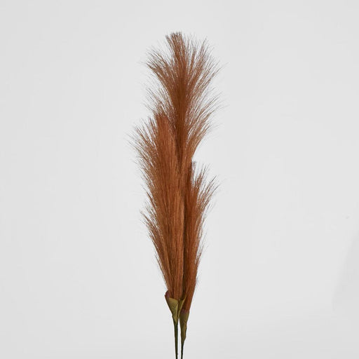 Artificial Pampas Grass Spray 3 Stems Brown 74cm Brown - FLORA DESIGNS