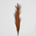 Artificial Pampas Grass Spray 3 Stems Brown 74cm Brown - FLORA DESIGNS