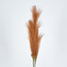 Artificial Pampas Grass Spray 3 Stems Brown 74cm Brown - FLORA DESIGNS