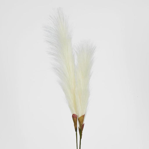 Artificial Pampas Grass Spray 3 Stems Cream 74cm White - FLORA DESIGNS