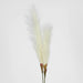 Artificial Pampas Grass Spray 3 Stems Cream 74cm White - FLORA DESIGNS