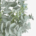 Artificial Euonymus Japonicus Bush Grey Green 41cm Light Green - FLORA DESIGNS