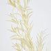 Artificial Podocarpus Grass Spray Beige 79cm Beige - FLORA DESIGNS