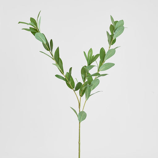 Artificial Ruscus Leaf Spray Green 101cm Green - FLORA DESIGNS