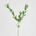 Artificial Ruscus Leaf Spray Green 101cm Green - FLORA DESIGNS