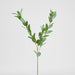 Artificial Ruscus Leaf Spray Green 101cm Green - FLORA DESIGNS