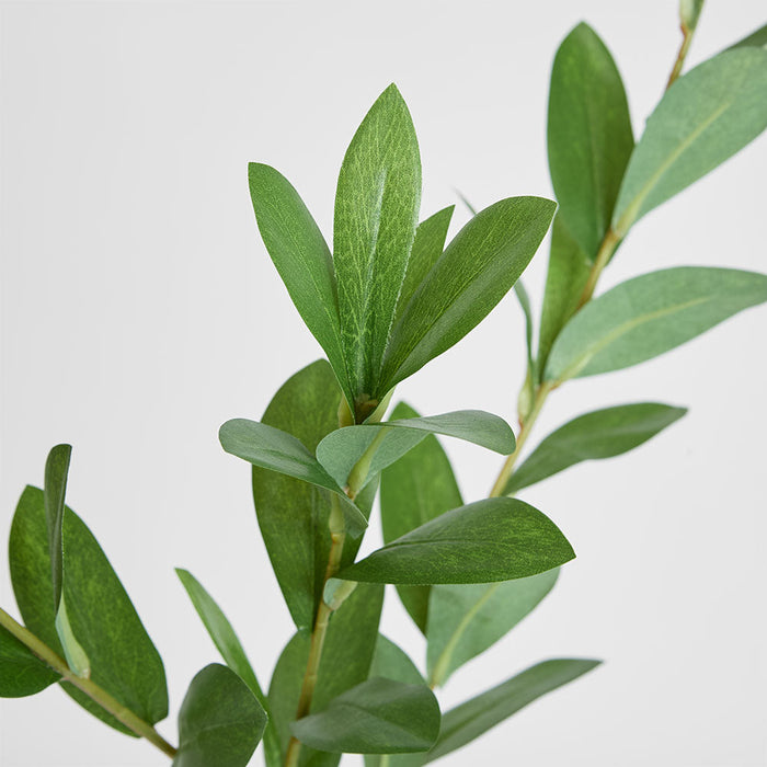 Artificial Ruscus Leaf Spray Green 101cm Green - FLORA DESIGNS