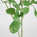 Artificial Pittosporum Leaf Spray Variegated 75cm Green - FLORA DESIGNS