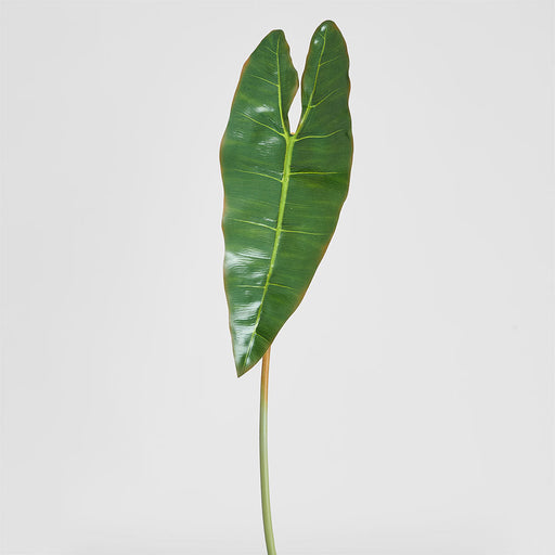 Artificial Philodendron Spiritus Sancti Leaf 81cm Green - FLORA DESIGNS