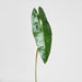 Artificial Philodendron Spiritus Sancti Leaf 81cm Green - FLORA DESIGNS